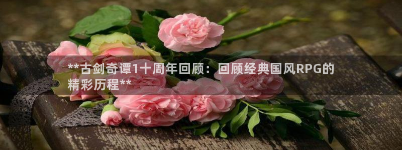 顺盈娱乐平台注册流程视频
