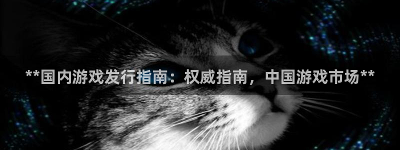 顺赢是什么意思：**国内游戏发行指南：权威指南，中国游戏市场**