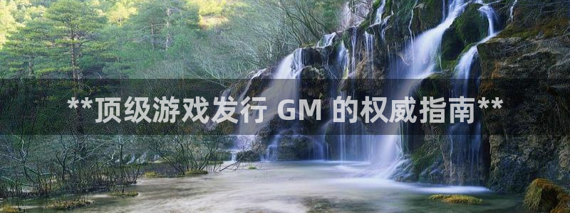 顺盈平台怎么样：**顶级游戏发行 GM 的权威指南**