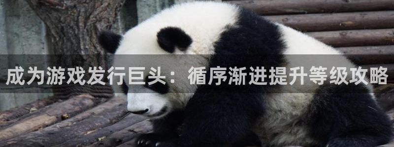 顺盈平台
