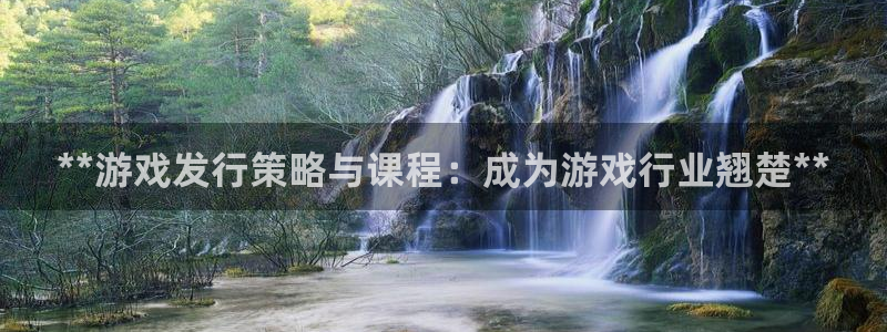顺盈娱乐平台提现被关闭怎么回事呀：**游戏发行策略与课程：成为游戏行业翘楚**