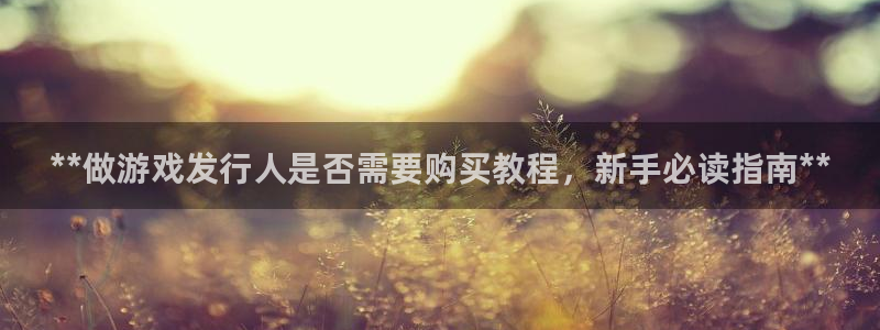顺盈娱乐公司介绍图片：**做游戏发行人是否需要购买教程，新手必读指南**