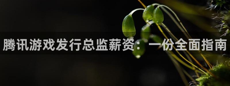 顺赢大师app：腾讯游戏发行总监薪资：一份全面指南
