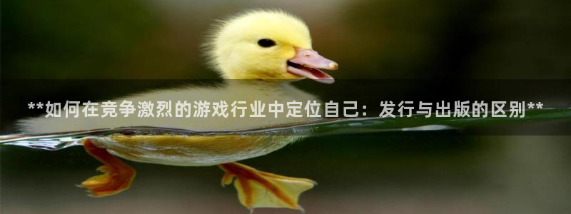 顺盈电子有限公司
