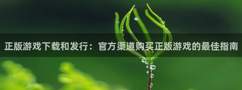 顺盈娱乐慌 692687