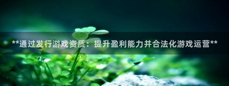 顺盈实业：**通过发行游戏资质：提升盈利能力并合法化游戏运营**