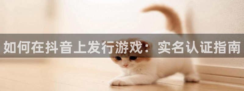 顺盈娱乐登录平台下载安装
