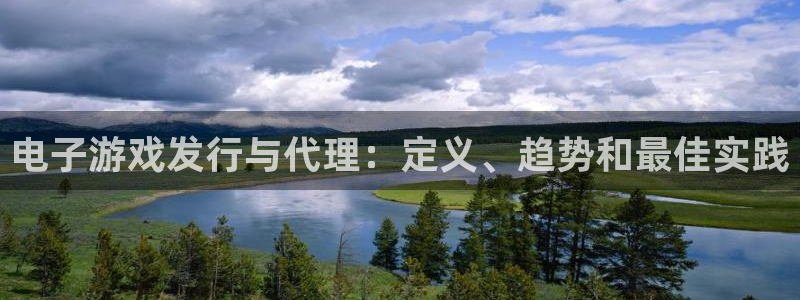 顺盈娱乐平台注册流程视频播放：电子游戏发行与代理：定义、趋势和最佳实践