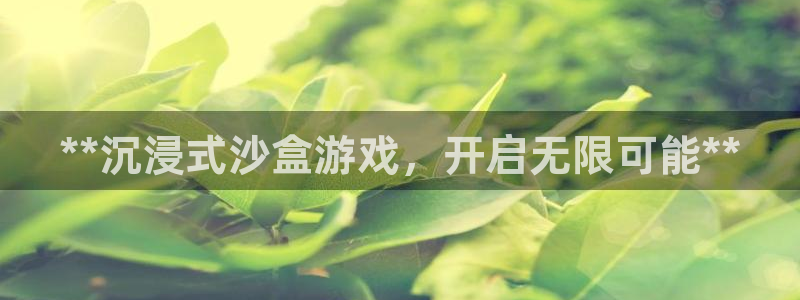 顺盈娱乐平台注册流程视频教程：**沉浸式沙盒游戏，开启无限可能**