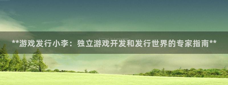 顺盈平台注册流程图：**游戏发行小李：独立游戏开发和发行世界的专家指南**