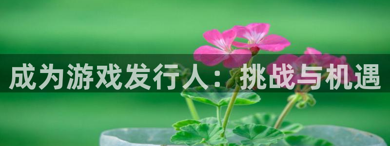 顺盈娱乐违法吗：成为游戏发行人：挑战与机遇