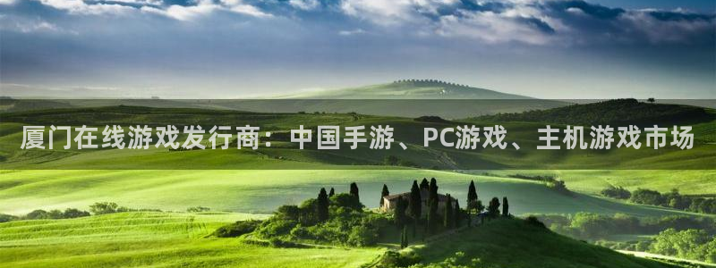 顺盈平台注册资金多少：厦门在线游戏发行商：中国手游、PC游戏、主机游戏市场