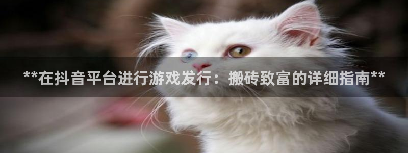 顺盈娱乐平台注册流程图片大全：**在抖音平台进行游戏发行：搬砖致富的详细指南**