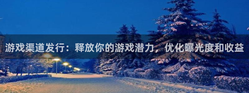顺盈培训怎么样：游戏渠道发行：释放你的游戏潜力，优化曝光度和收益