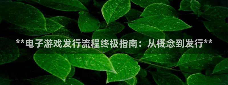 顺盈娱乐违法吗是真的吗：**电子游戏发行流程终极指南：从概念到发行**