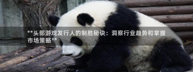 顺盈娱乐官网首页登录：**头部游戏发行人的制胜秘诀：洞察行业趋势和掌握
市场策略**