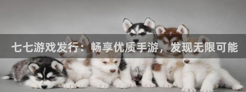 顺盈娱乐平台注册流程视频播放： 七七游戏发行：畅享优质手游，发现无限可能