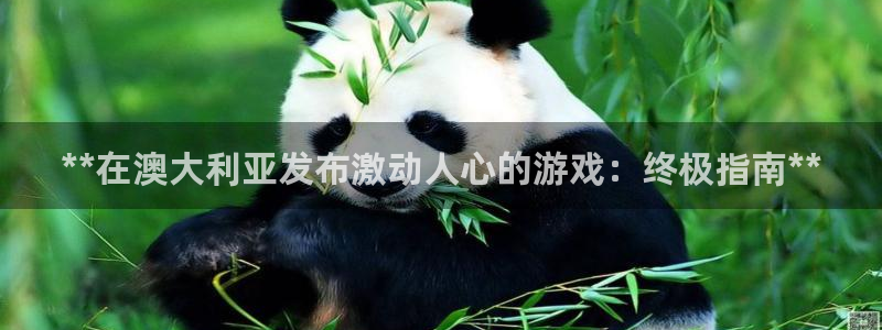 顺盈娱乐的员工待遇怎么样知乎：**在澳大利亚发布激动人心的游戏：终极指南**