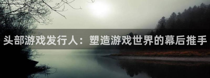 顺盈娱乐平台注册流程图