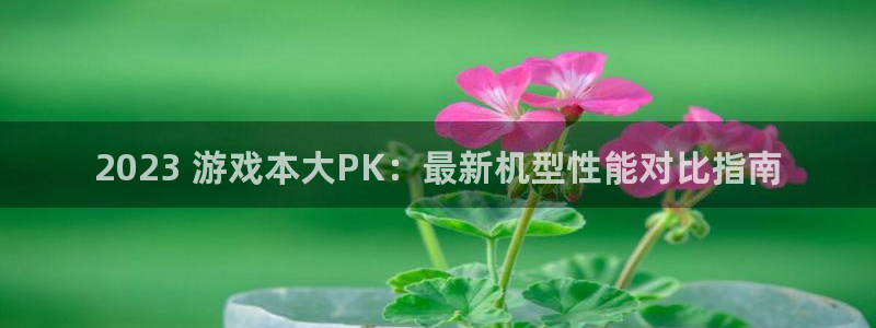 顺盈娱乐平台注册流程视频播放：2023 游戏本大PK：最新机型性能对比指南
