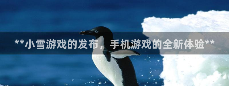 顺盈娱乐登录平台下载安装手机版：**小雪游戏的发布，手机游戏的全新体验**