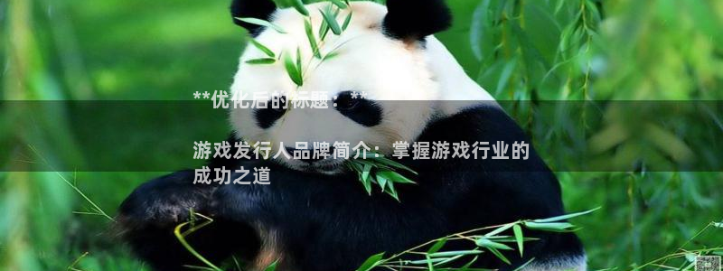 顺盈电子有限公司：**优化后的标题：**

游戏发行人品牌简介：掌握游戏行业的
成功之道