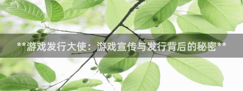 顺盈平台注册开户：**游戏发行大使：游戏宣传与发行背后的秘密**