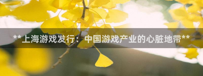 顺盈娱乐平台最新活动时间：**上海游戏发行：中国游戏产业的心脏地带**