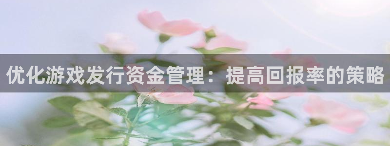 顺盈平台注册流程图：优化游戏发行资金管理：提高回报率的策略