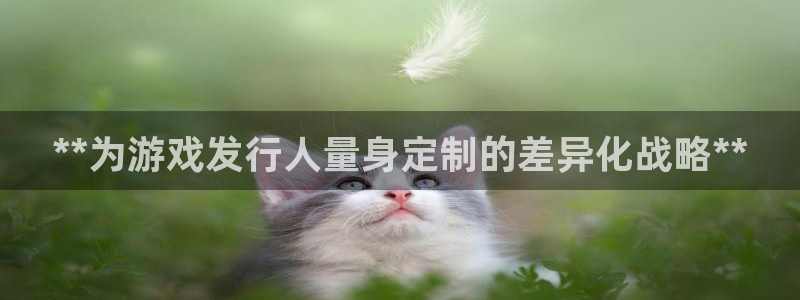 顺盈平台注册流程：**为游戏发行人量身定制的差异化战略**