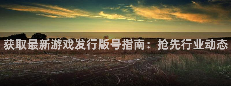 顺盈娱乐平台提现被关闭怎么回事啊：获取最新游戏发行版号指南：抢先行业动态