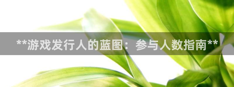 顺盈娱乐平台提现被关闭怎么回事啊安全吗