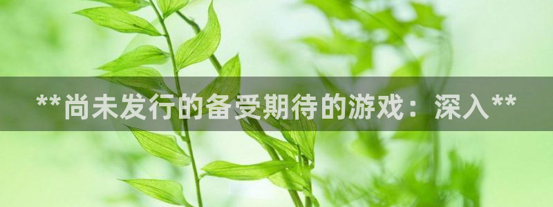 顺盈平台注册流程视频：**尚未发行的备受期待的游戏：深入**