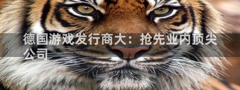 顺盈娱乐扣款成功了吗怎么退款：德国游戏发行商大：抢先业内顶尖
公司