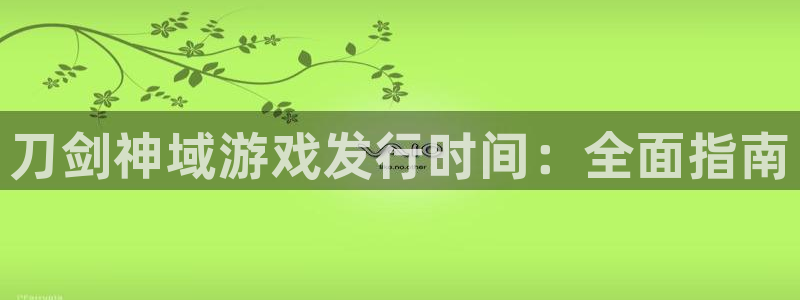 顺盈电子：刀剑神域游戏发行时间：全面指南