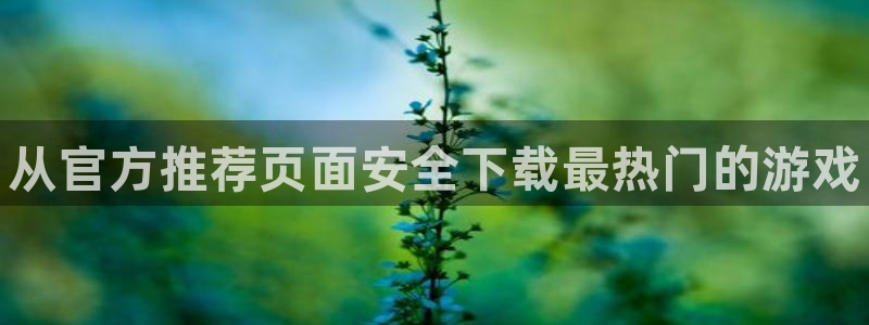 顺盈娱乐平台注册流程图片下载：从官方推荐页面安全下载最热门的游戏