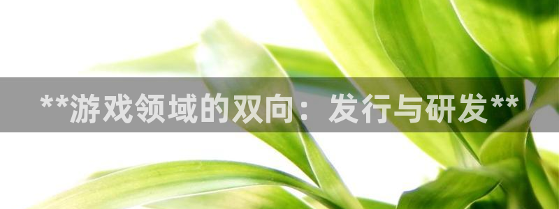 顺盈平台注册地址在哪看：**游戏领域的双向：发行与研发**
