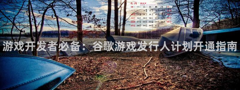 顺盈平台登录入口：游戏开发者必备：谷歌游戏发行人计划开通指南