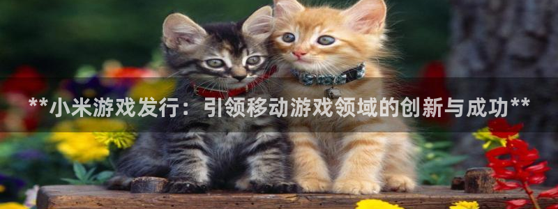 顺赢商贸有限公司：**小米游戏发行：引领移动游戏领域的创新与成功**