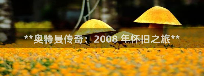 顺盈平台注册流程图片：**奥特曼传奇：2008 年怀旧之旅**