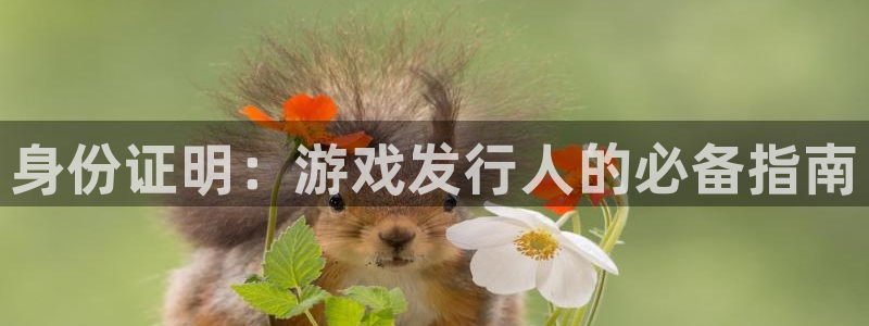 顺盈平台登录入口：身份证明：游戏发行人的必备指南