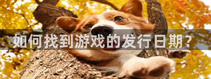 顺盈娱乐平台提现被关闭怎么回事：如何找到游戏的发行日期？