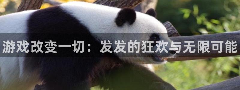 顺盈娱乐公司介绍