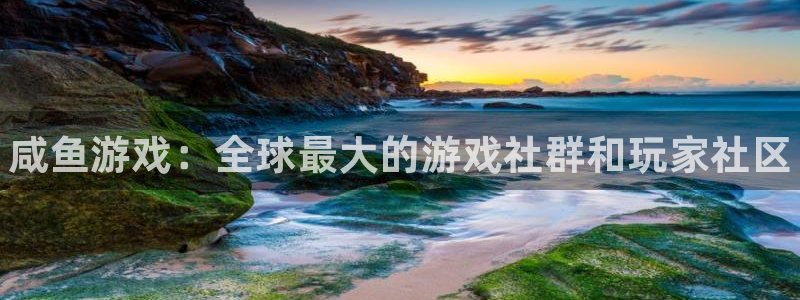 顺盈娱乐扣款成功了吗：咸鱼游戏：全球最大的游戏社群和玩家社区