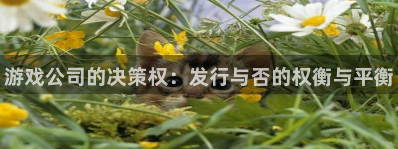顺盈平台注册网址查询：游戏公司的决策权：发行与否的权衡与平衡