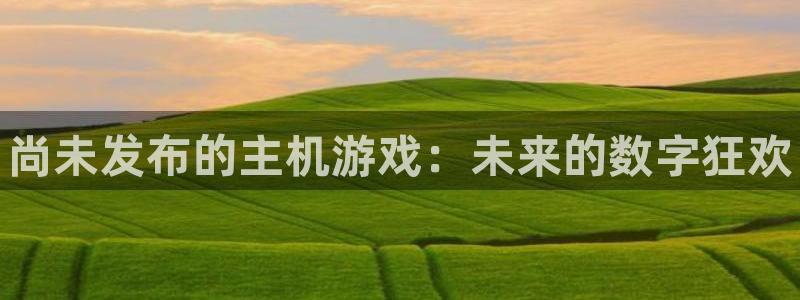 顺盈娱乐公司介绍图片：尚未发布的主机游戏：未来的数字狂欢