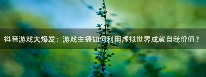 顺盈商贸有限公司：抖音游戏大爆发：游戏主播如何利用虚拟世界成就自我价值？