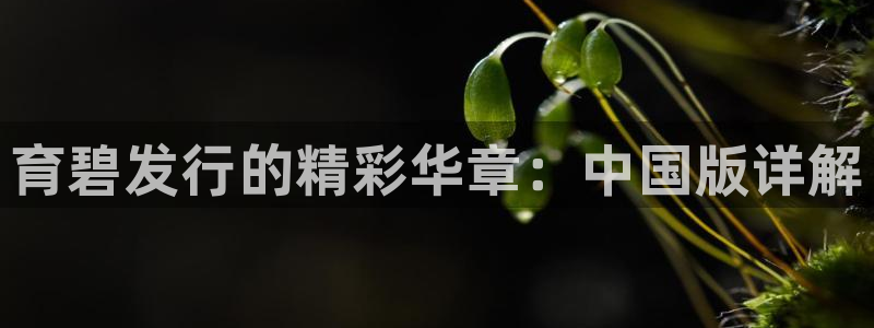 顺盈商贸有限公司：育碧发行的精彩华章：中国版详解