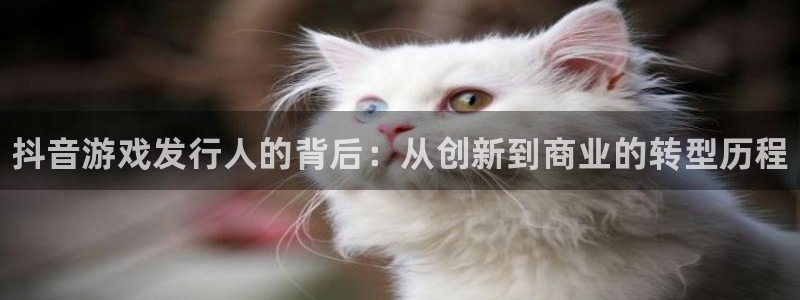 顺盈娱乐平台主管联系方式：抖音游戏发行人的背后：从创新到商业的转型历程