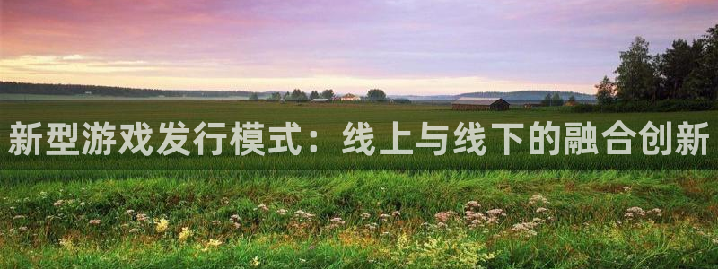 顺盈app是什么东西：新型游戏发行模式：线上与线下的融合创新